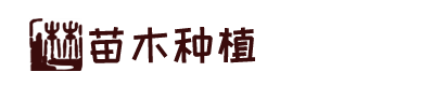 QY球友会